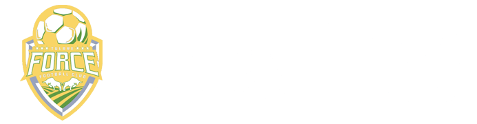 足球直播